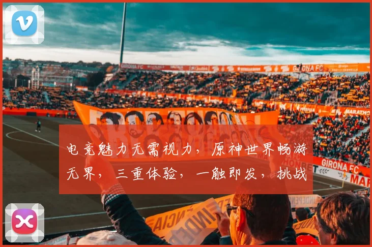电竞魅力无需视力，原神世界畅游无界，三重体验，一触即发，挑战无限