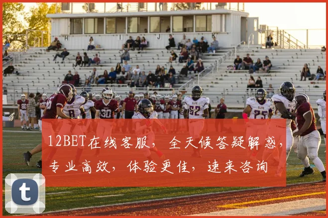 12BET在线客服，全天候答疑解惑，专业高效，体验更佳，速来咨询