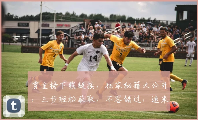 赏金榜下载链接，独家秘籍大公开，三步轻松获取，不容错过，速来下载
